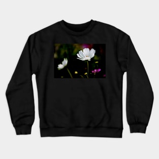 White Cosmos Crewneck Sweatshirt